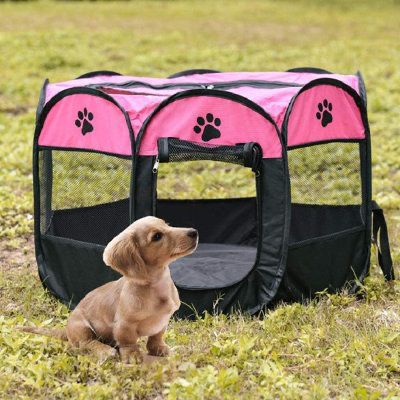 Haven Trail Cozy Pet Adventure Tent